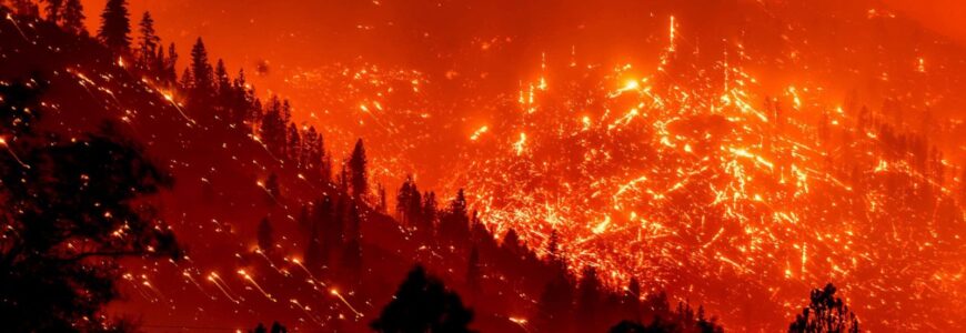 Los Angeles Wildfire