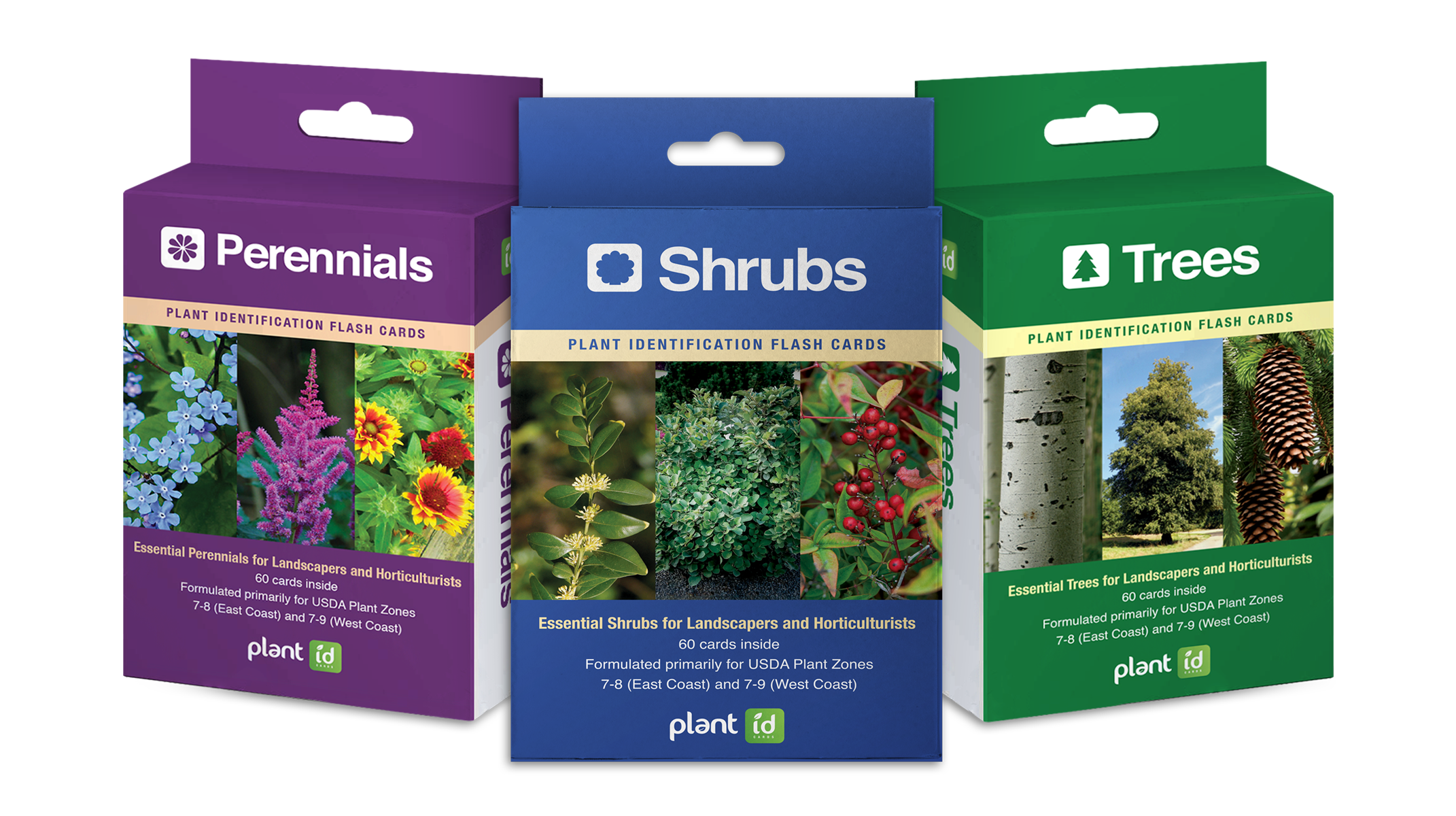 Plant ID Flashcards The easiest way to learn plants