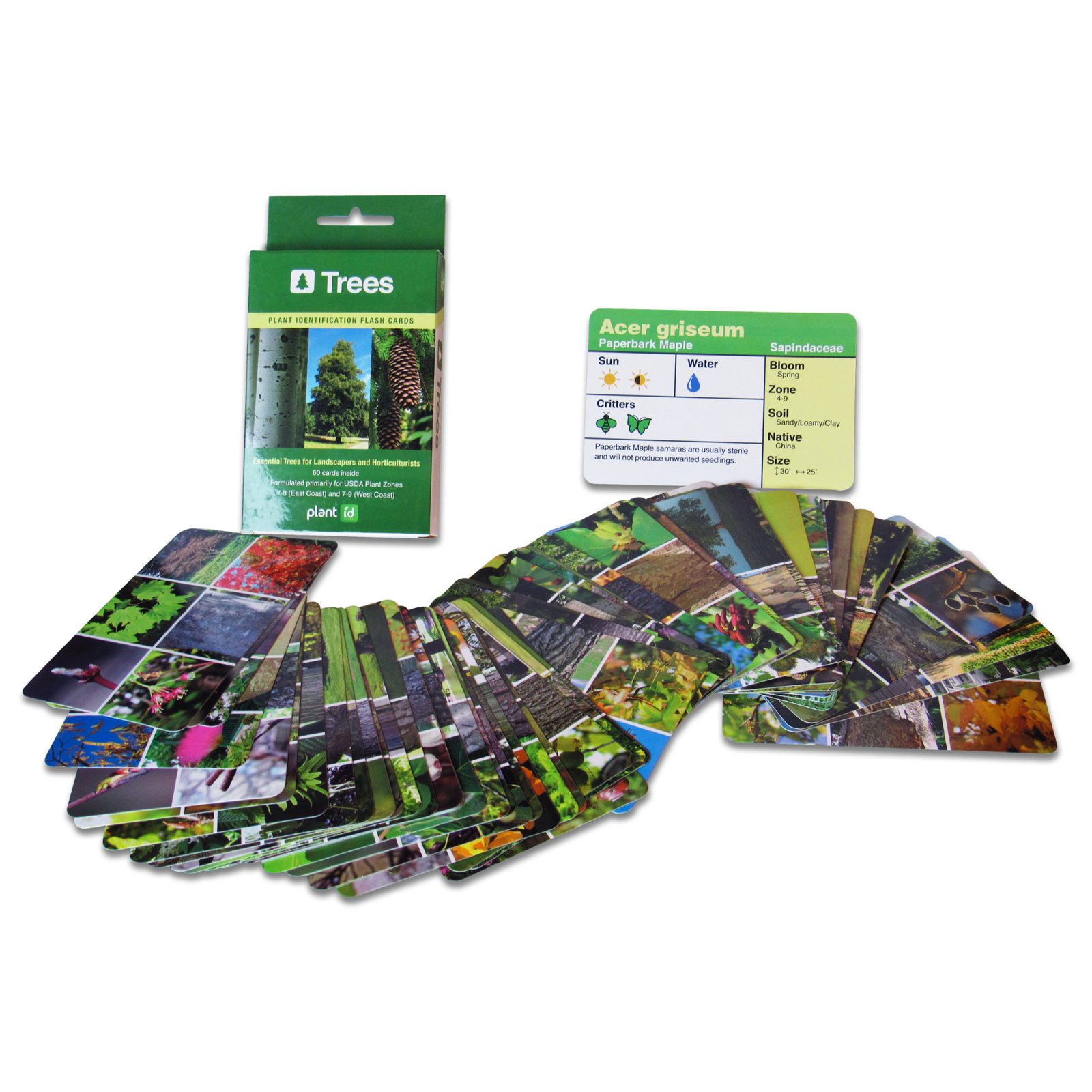 Trees plant ID flashcards laid out for studying