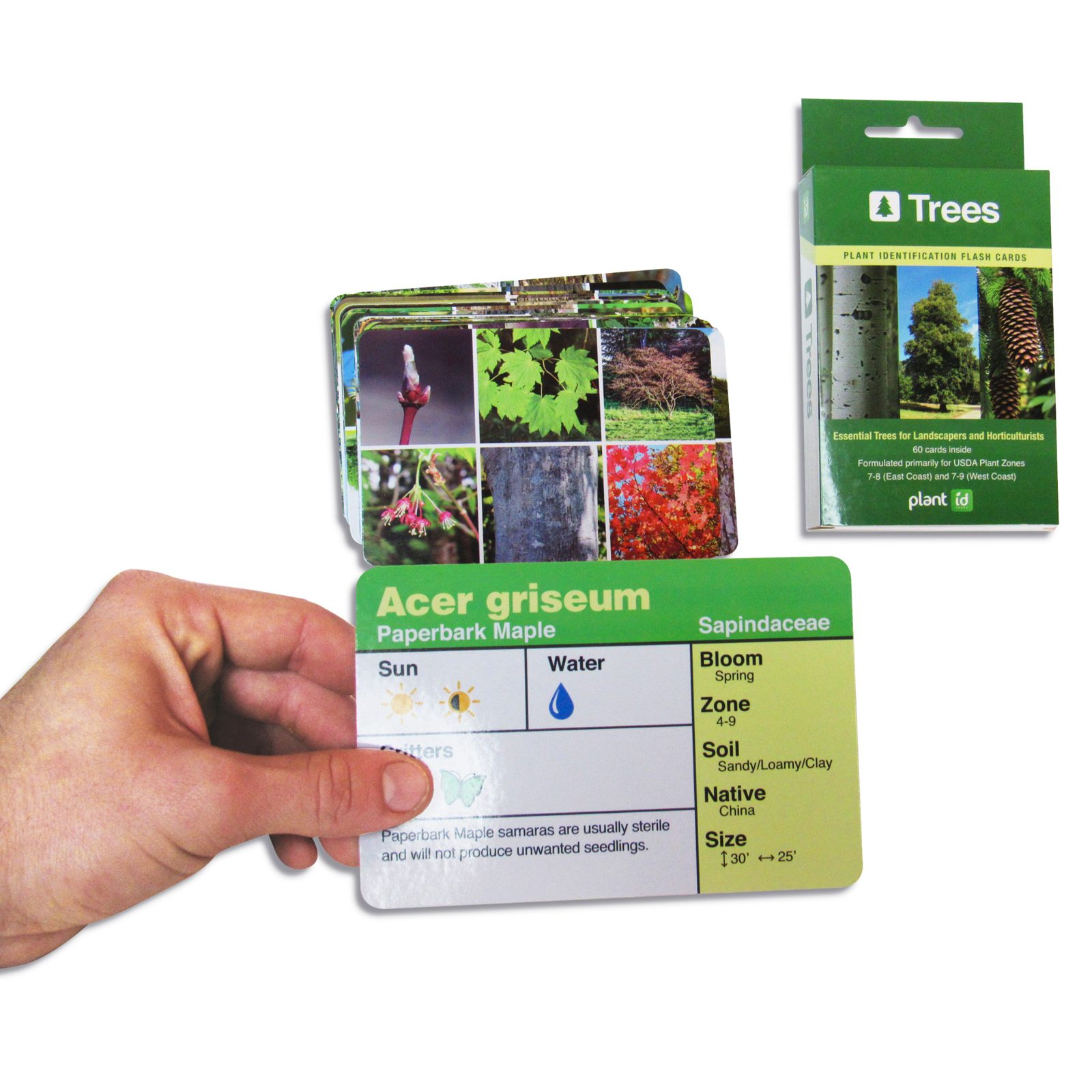 Trees plant ID flashcards additional card backs